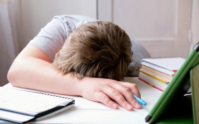 Wenn Leistung zur Last wird: Stress in Schule und Studium verstehen und ihm begegnen